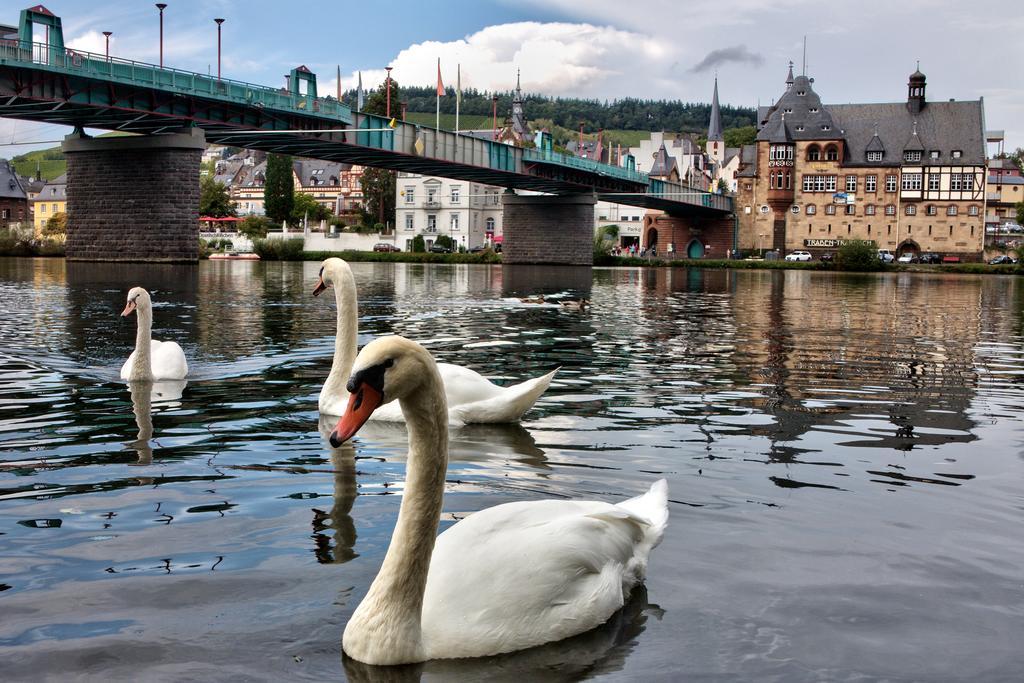 Zimmer Am Markt Traben-Trarbach Exteriör bild